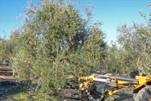 Agroinformacion_com20042016_174506