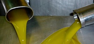 aceitealmazara_copia