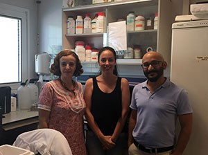 investigadoresalorena