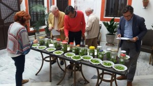 Sierra Sur-Osuna-Concurso aceitunas 2-kKHE--620x349@abc