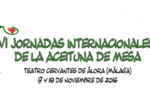 vermultimedia
