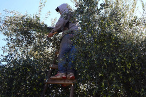 image5939e377c7aae2.42131037