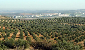 image_content_19094068_20170707222848