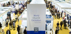 WOOE-2017