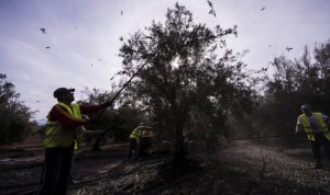 image_content_19734414_20180415203807