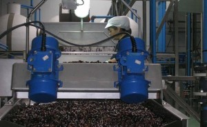 aceituna-negra-ktpD-U6085425016roD-624x385@Hoy