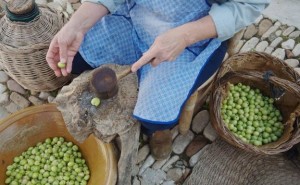 aceituna-alorena-k7h-U6035917907473D-624x385@Diario Sur