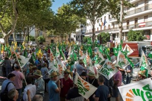 fotonoticia_20180705152525_1920-ds