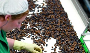 image_content_19970864_20180726111622