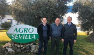 reunio-n_20127102_20190211134946